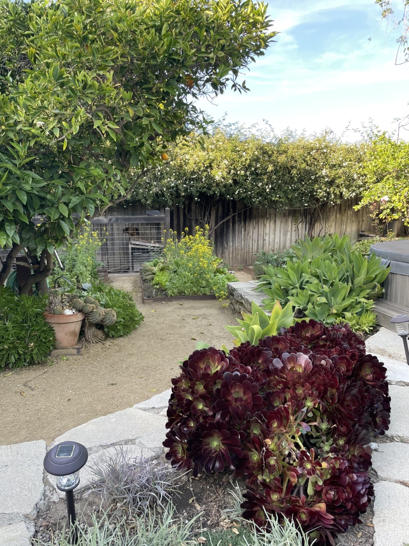 26CE1AA6-C4A8-4029-B455-5E811EE04259